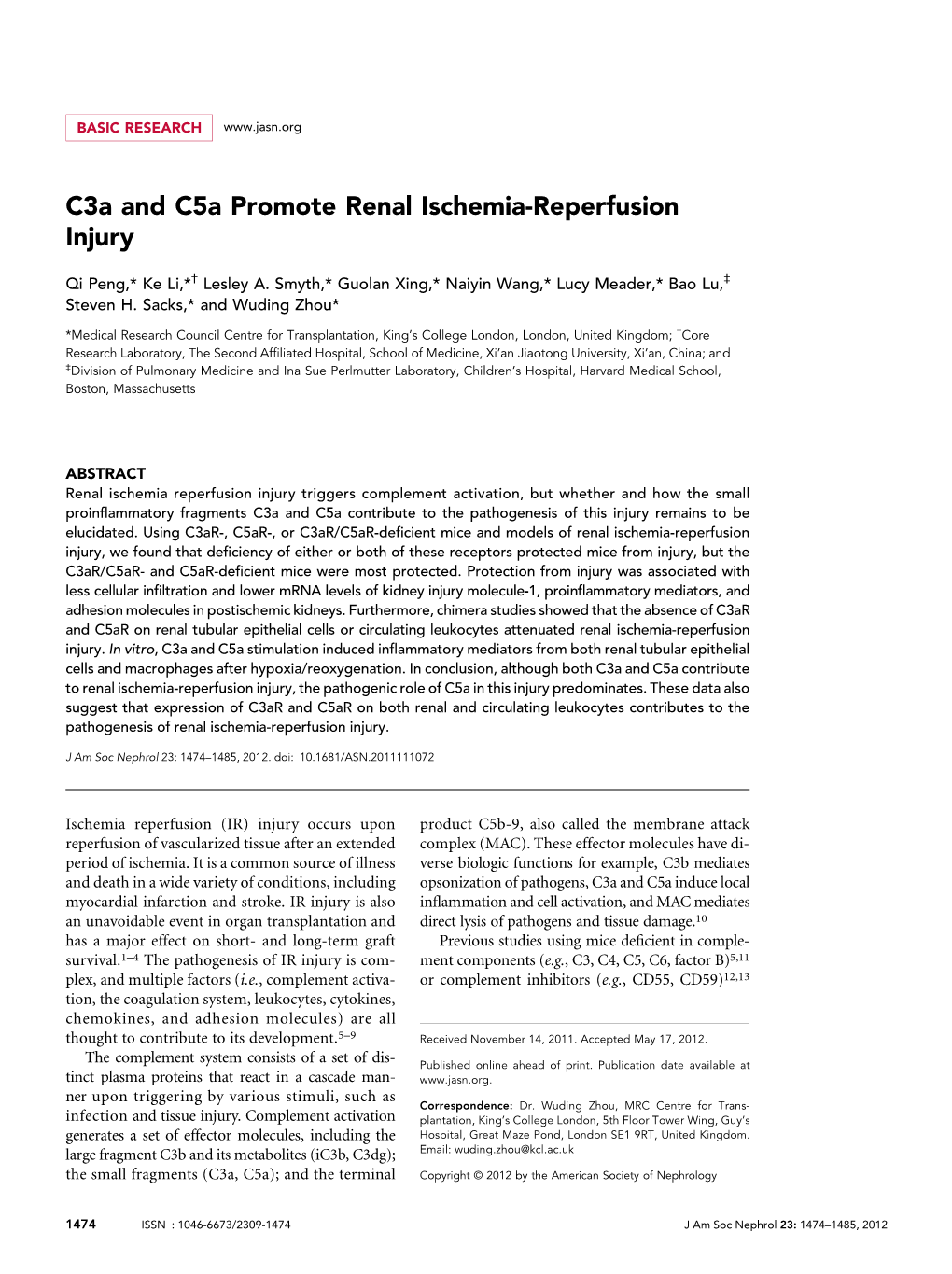 C3a and C5a Promote Renal Ischemia-Reperfusion Injury