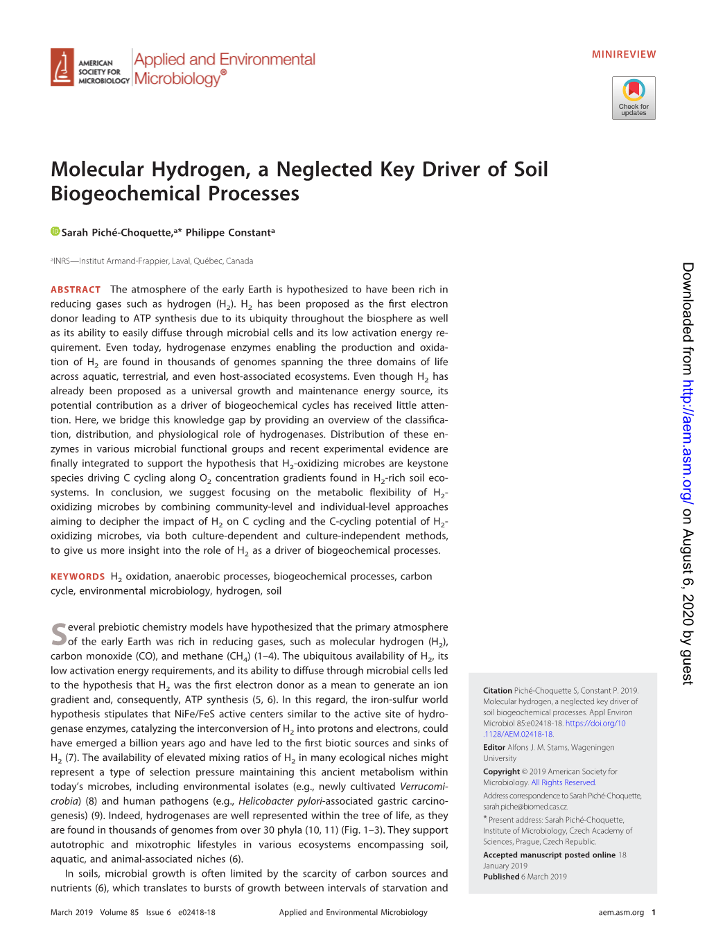 Molecular Hydrogen, a Neglected Key Driver of Soil Biogeochemical Processes