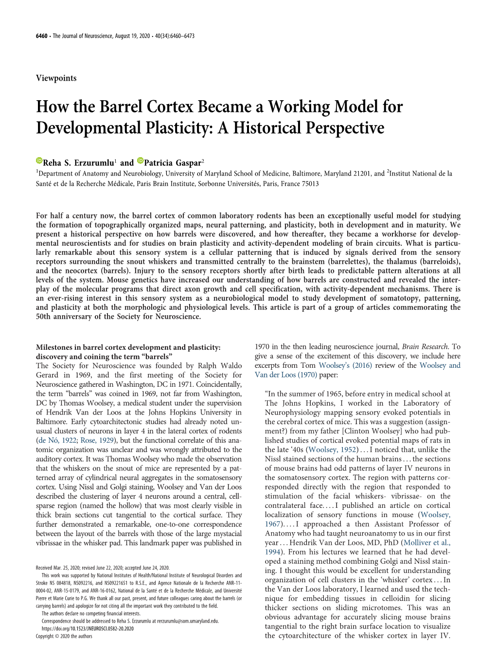 How the Barrel Cortex Became a Working Model for Developmental Plasticity: a Historical Perspective