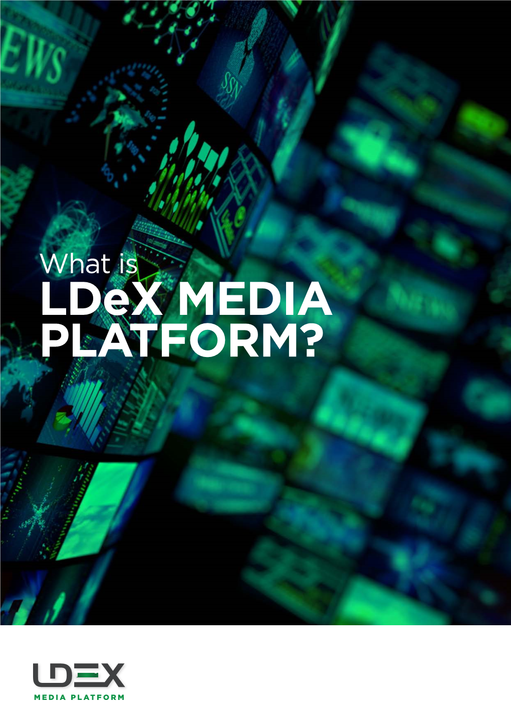 Ldex MEDIA PLATFORM? WHAT IS the the Ldex MEDIA PLATFORM