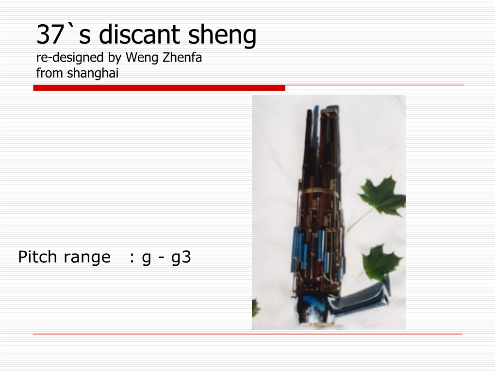 37`S Discant Sheng Re-Designed by Weng Zhenfa from Shanghai