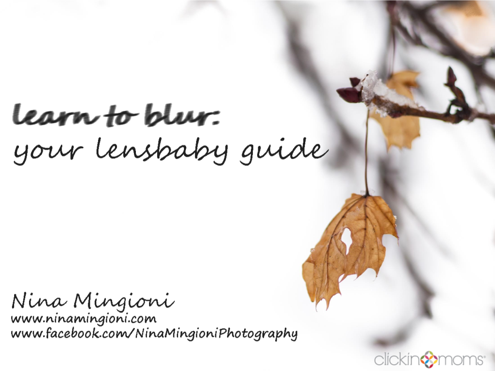 Lensbaby Guide by Nina Mingioni