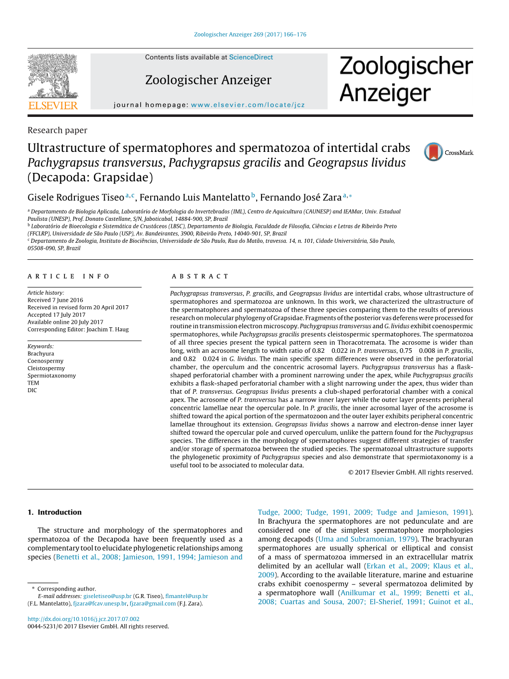 Ultrastructure of Spermatophores and Spermatozoa of Intertidal Crabs