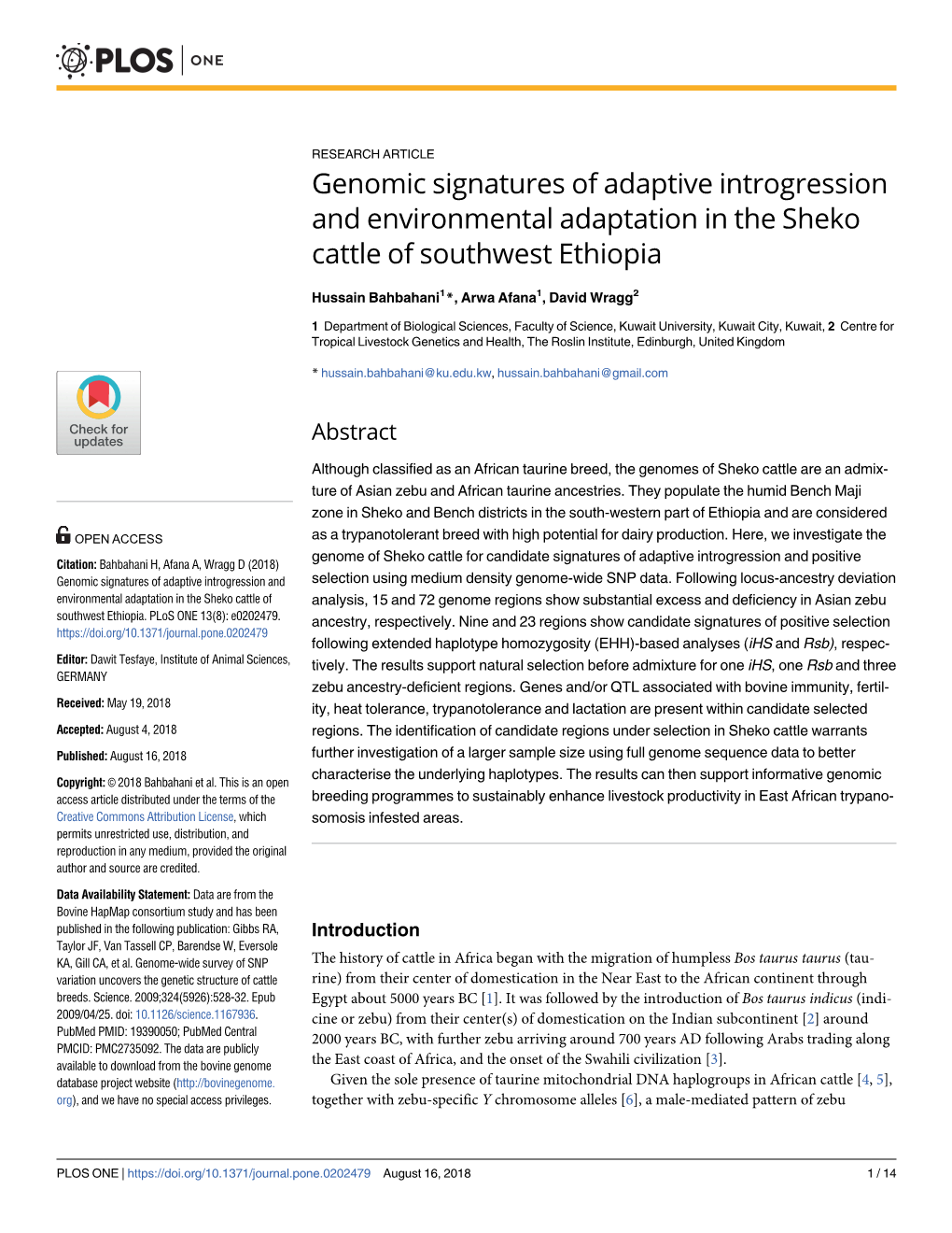 Genomic Signatures of Adaptive Introgression and Environmental Adaptation in the Sheko Cattle of Southwest Ethiopia