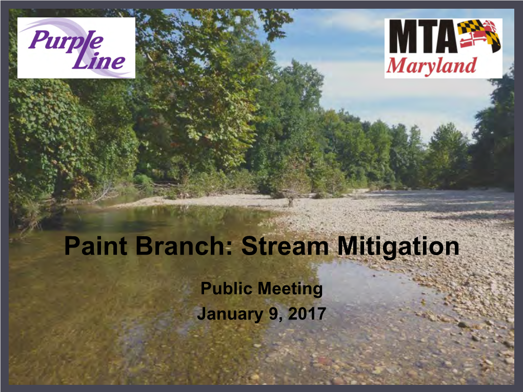 Paint Branch: Stream Mitigation