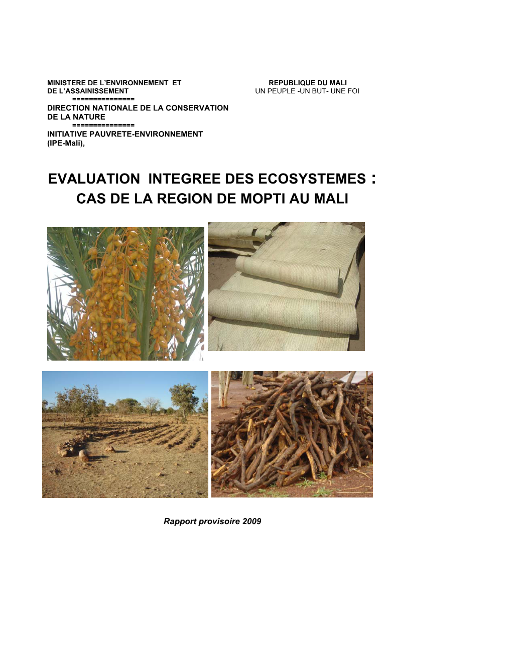 Evaluation Intégrée Des Écosystèmes: Cas De La Région De Mopti Au Mali