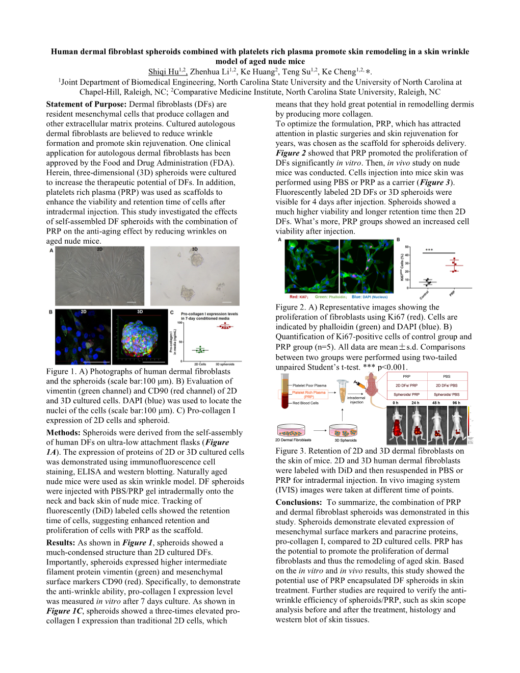 Human Dermal Fibroblast Spheroids Combined with Platelets Rich Plasma