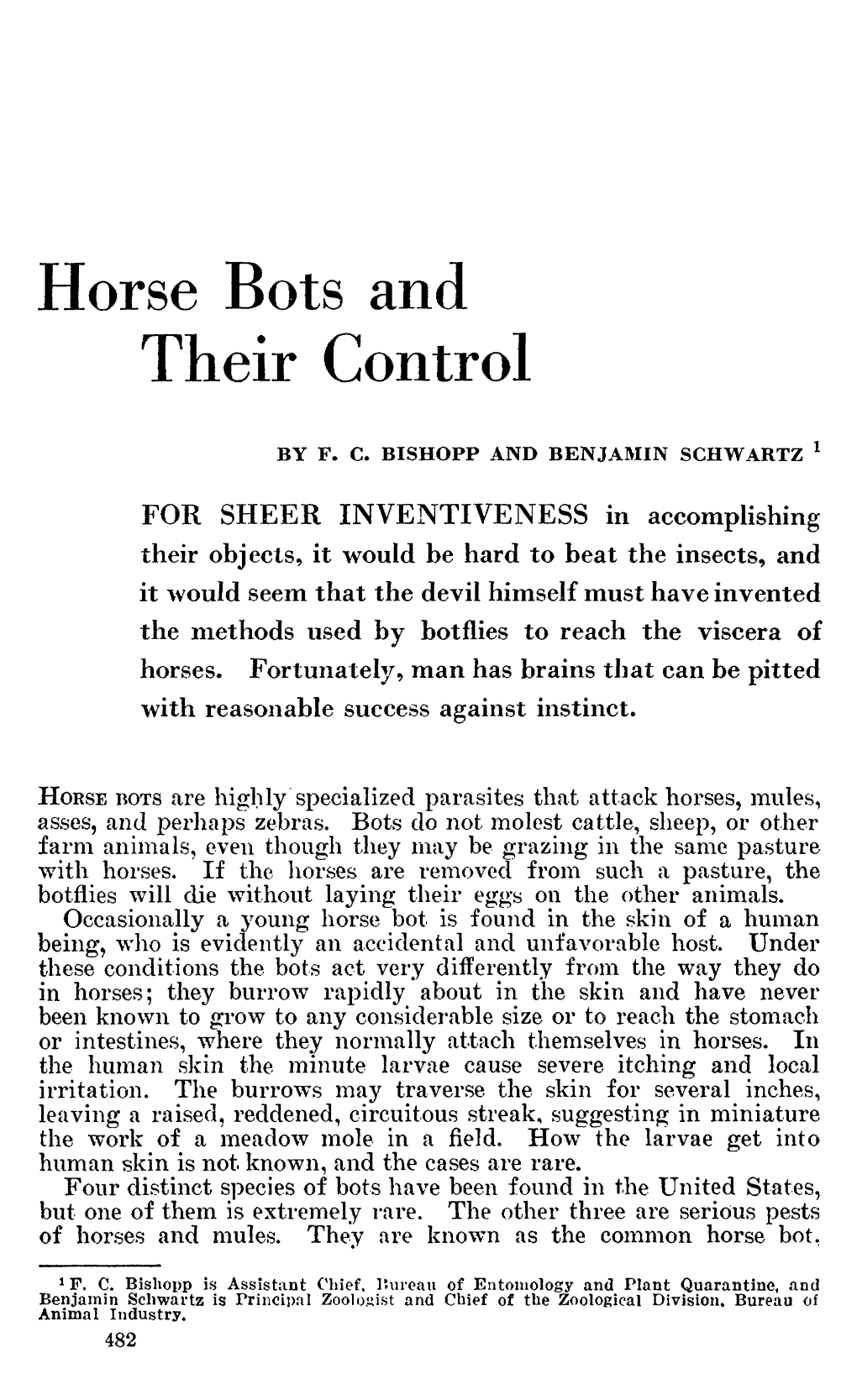 Horse Bots and Their Control