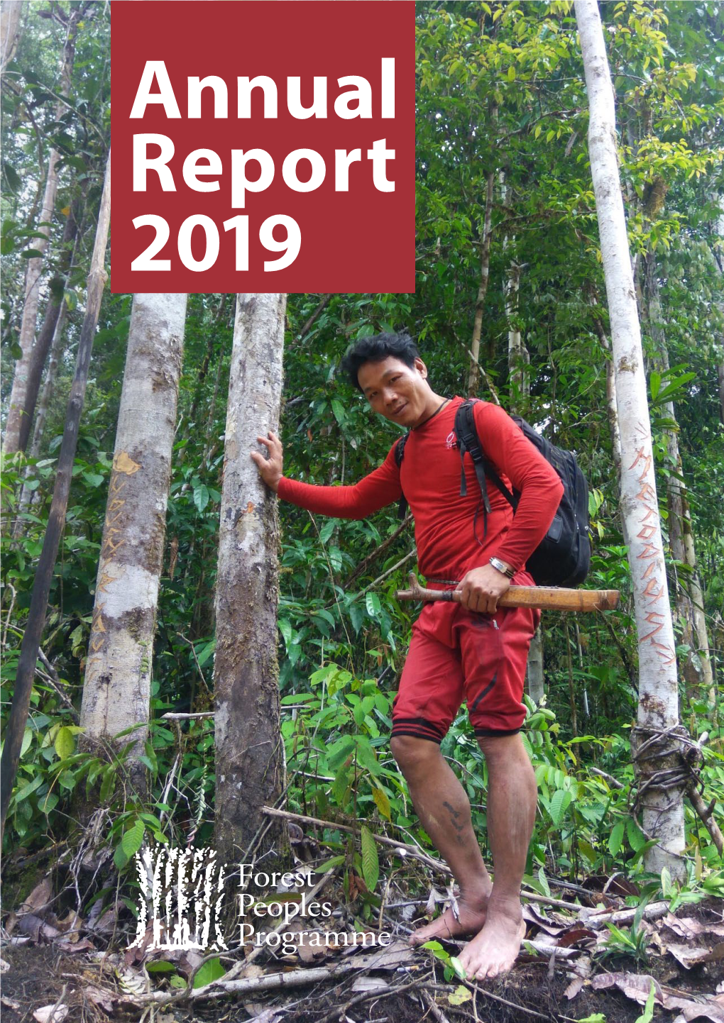 Download Our 2019 Annual Report