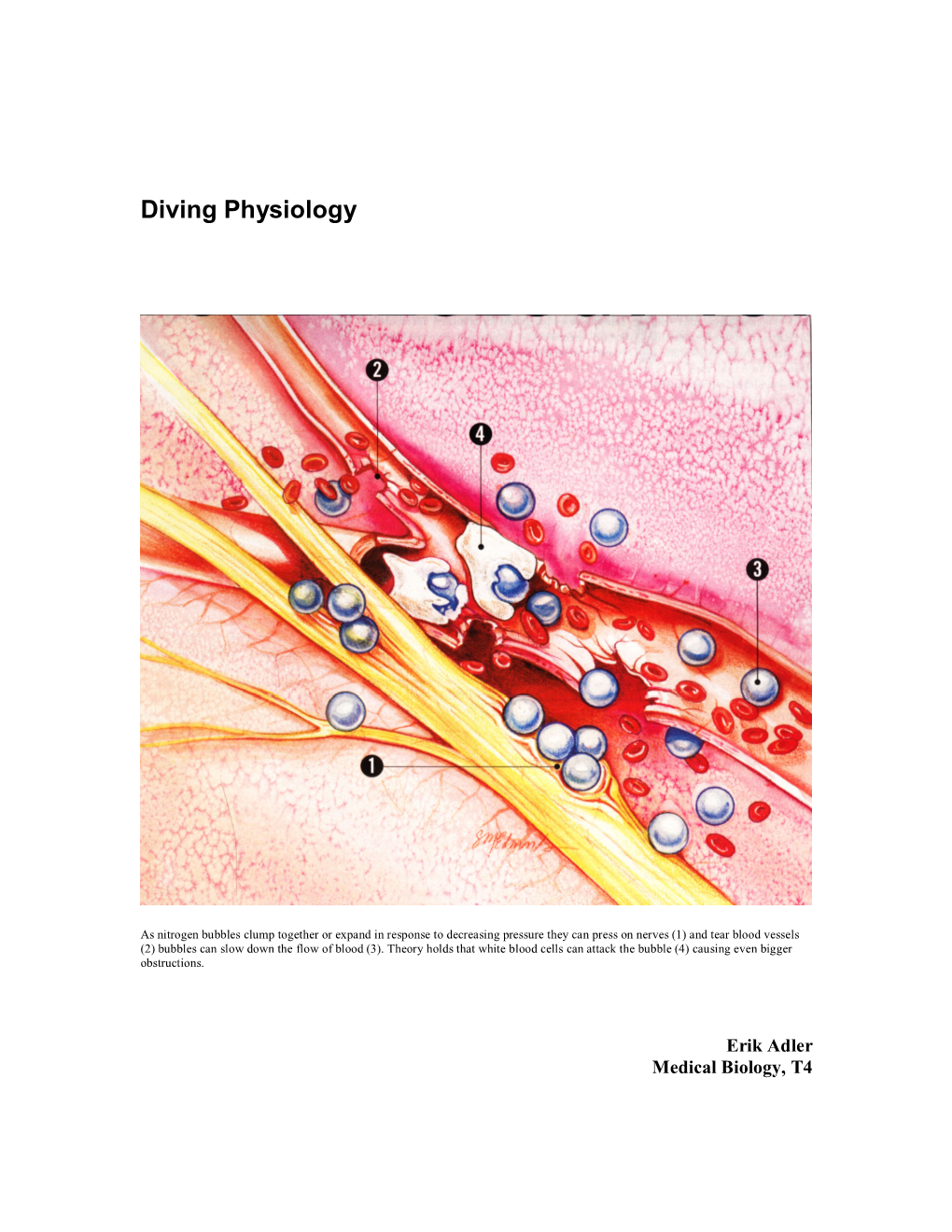 Diving Physiology