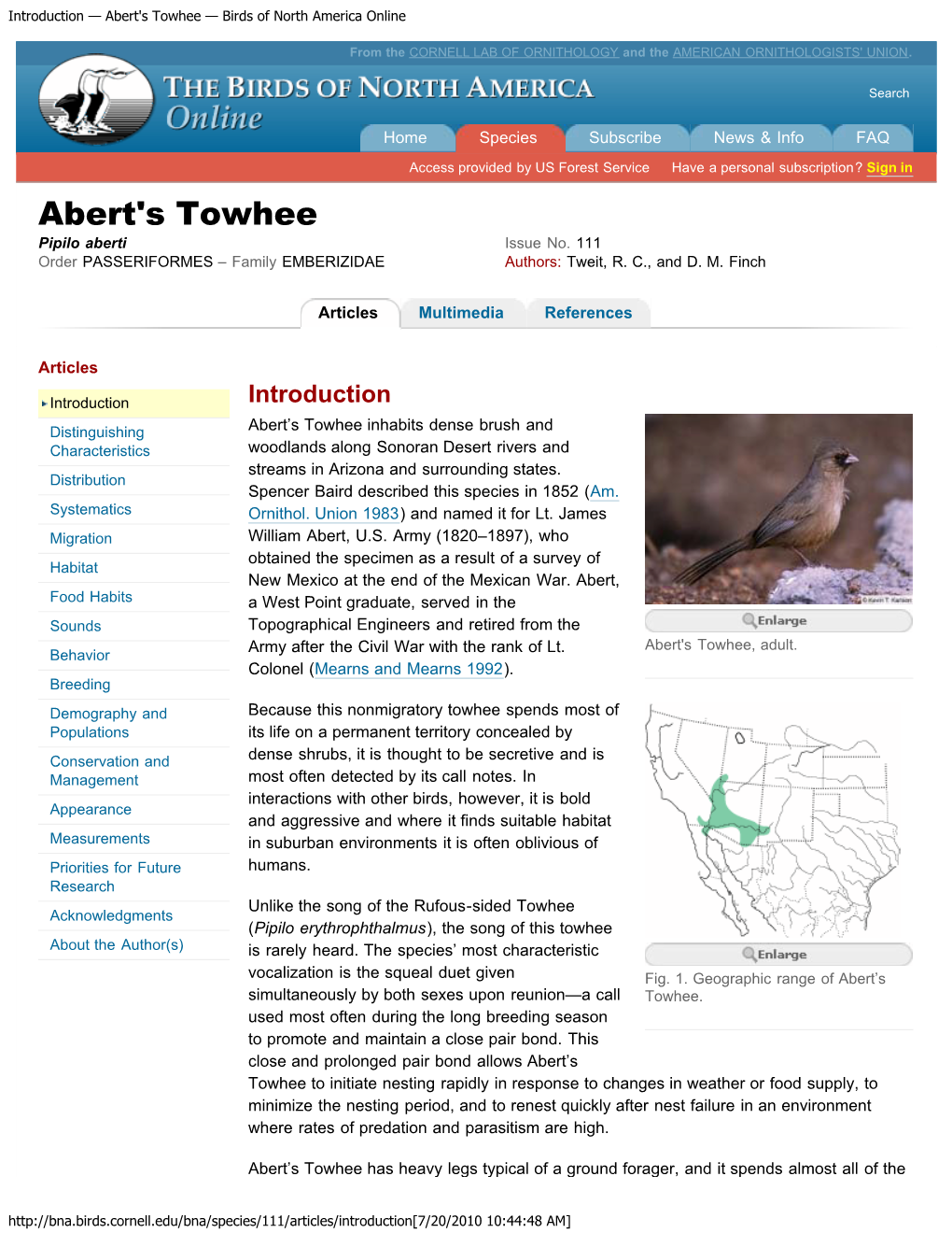 Abert's Towhee — Birds of North America Online