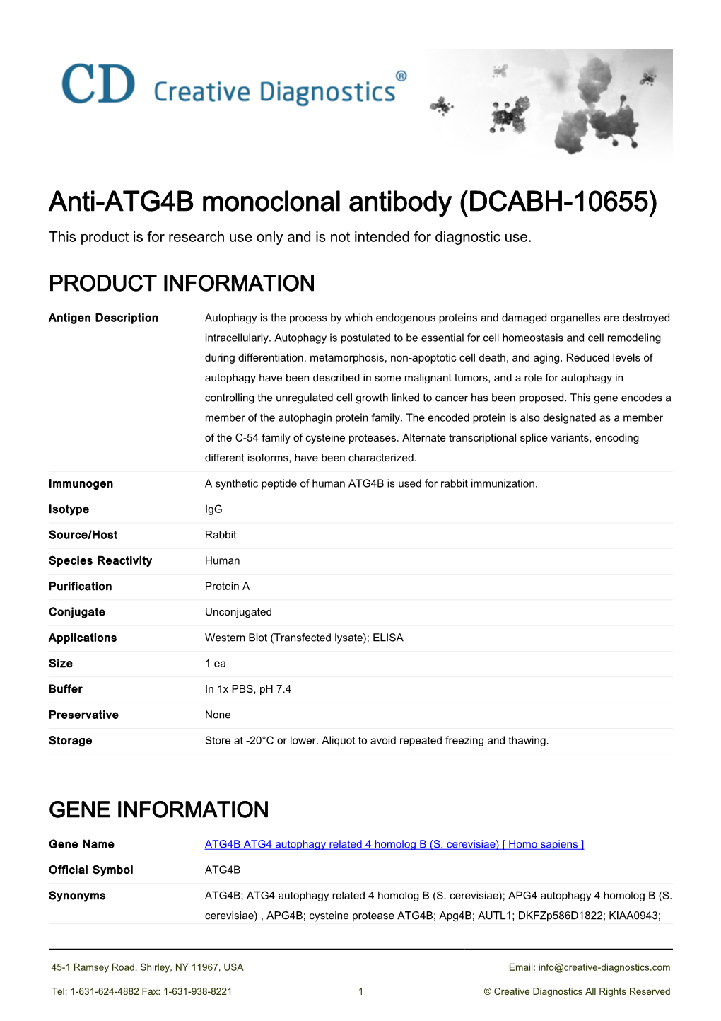 Anti-ATG4B Monoclonal Antibody (DCABH-10655) This Product Is for Research Use Only and Is Not Intended for Diagnostic Use