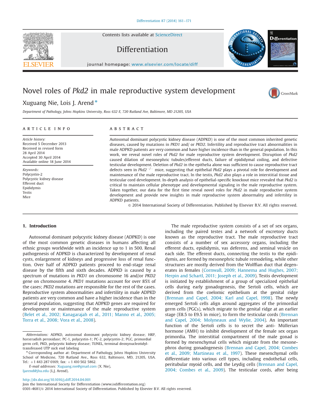 Novel Roles of Pkd2 in Male Reproductive System Development