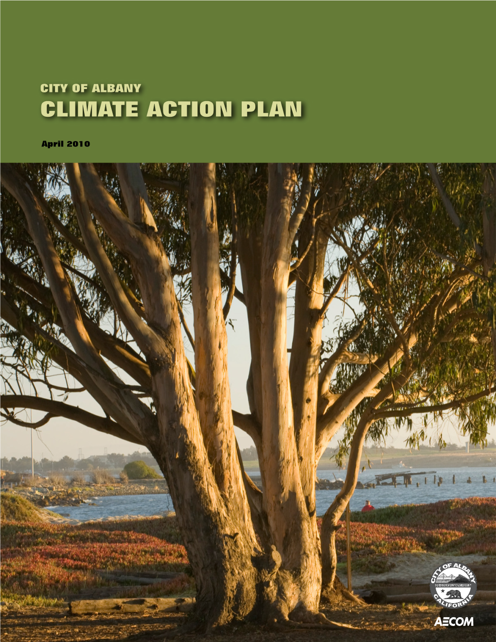 Climate Action Plan