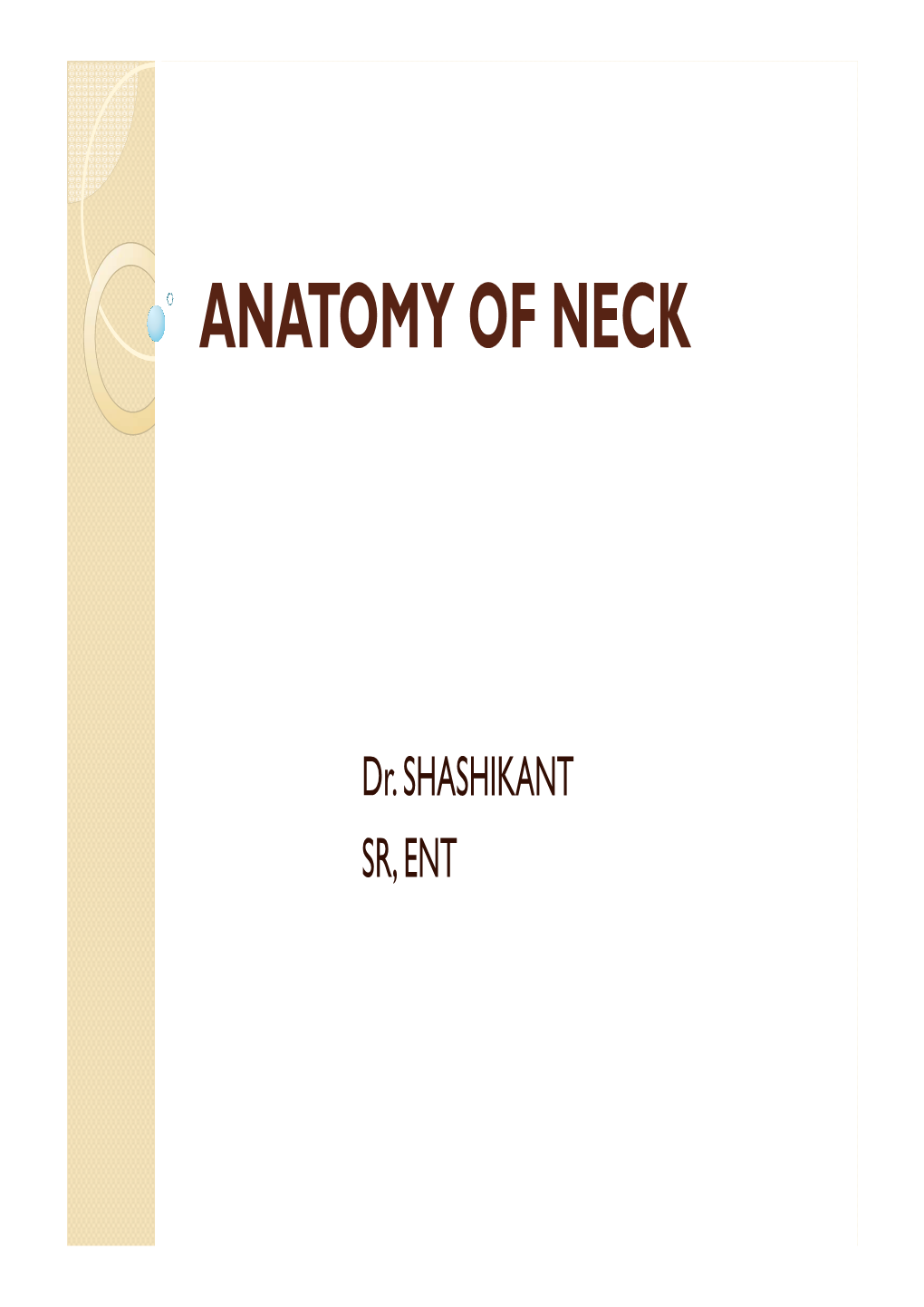 Anatomy of Neck