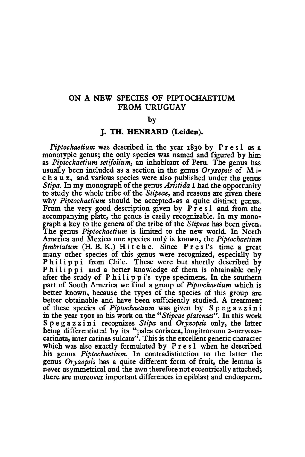 On a New Species of Piptochaetium from Uruguay