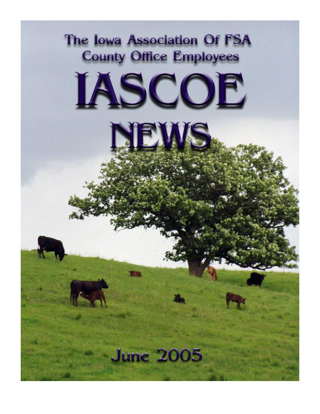 June 2005 IASCOE Newsletter 2