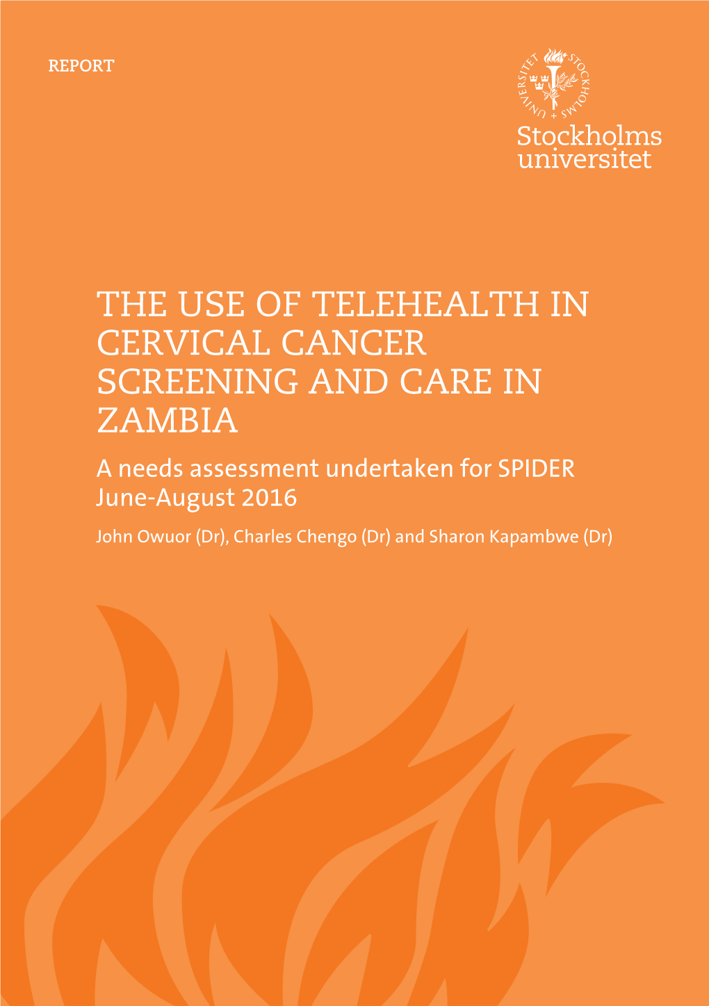 The Use of Telehealth in Cervical Cancer Screening and Care in Zambia