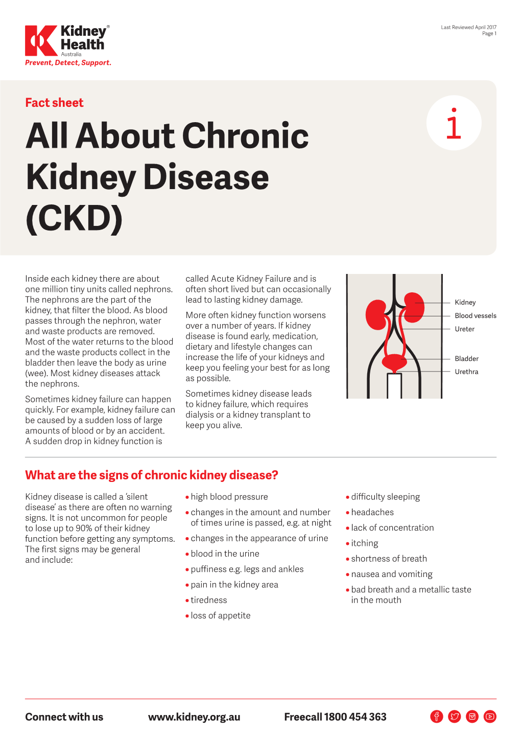 All About Chronic Kidney Disease (CKD) Fact Sheet