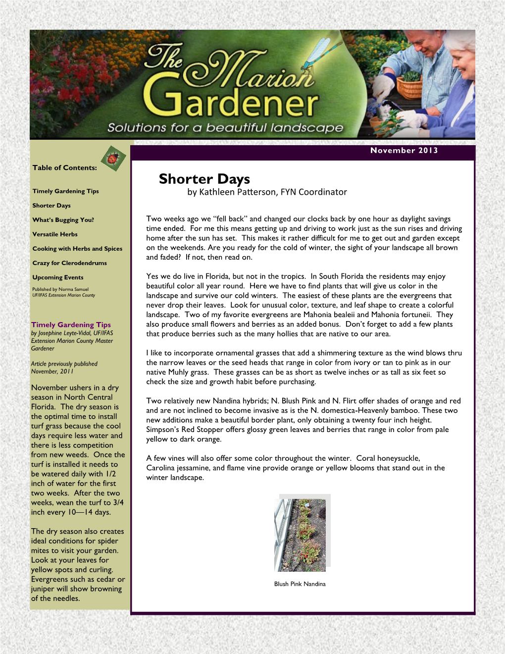 Shorter Days Timely Gardening Tips by Kathleen Patterson, FYN Coordinator