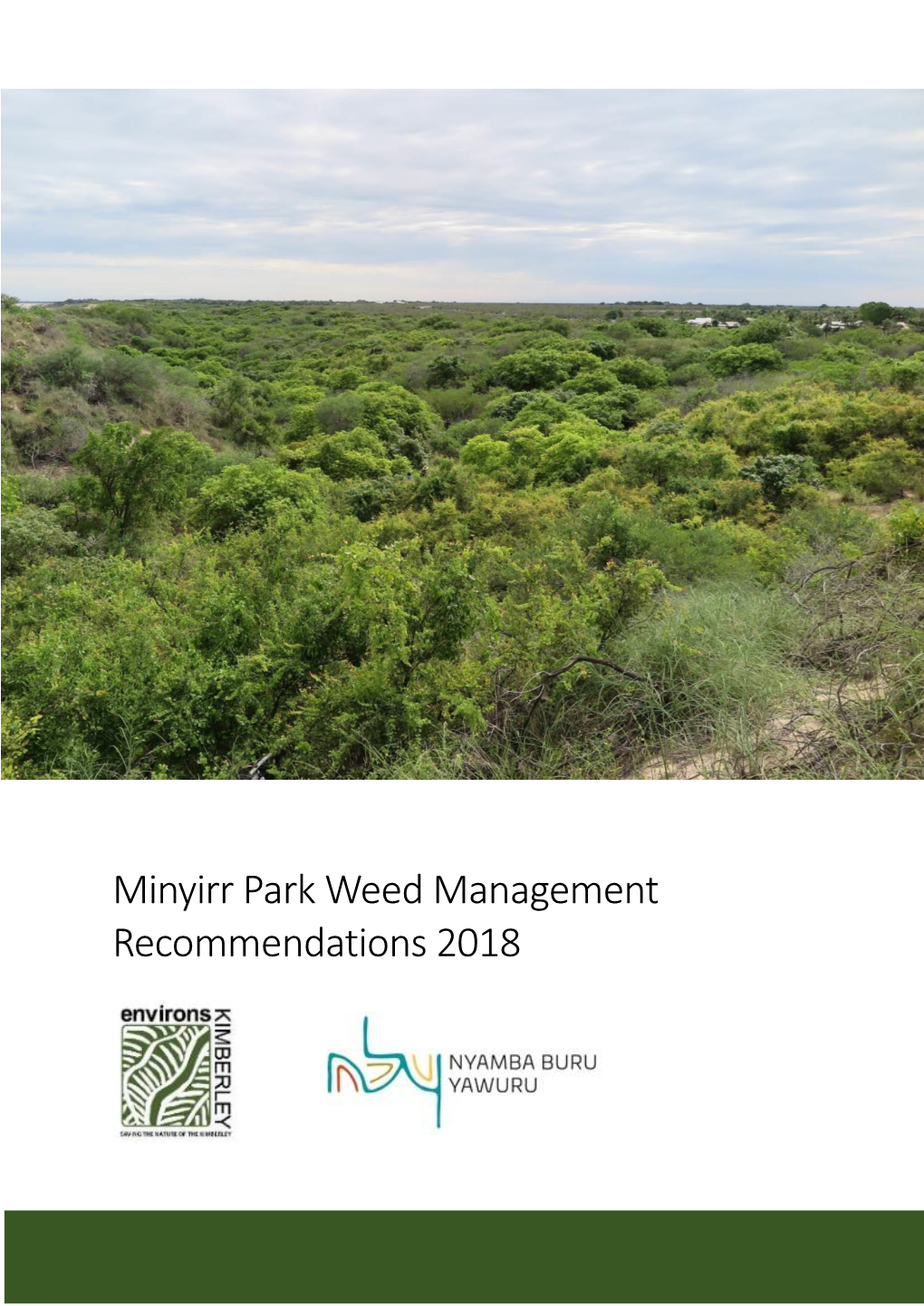 Minyirr Park Weed Management Recommendations 2018