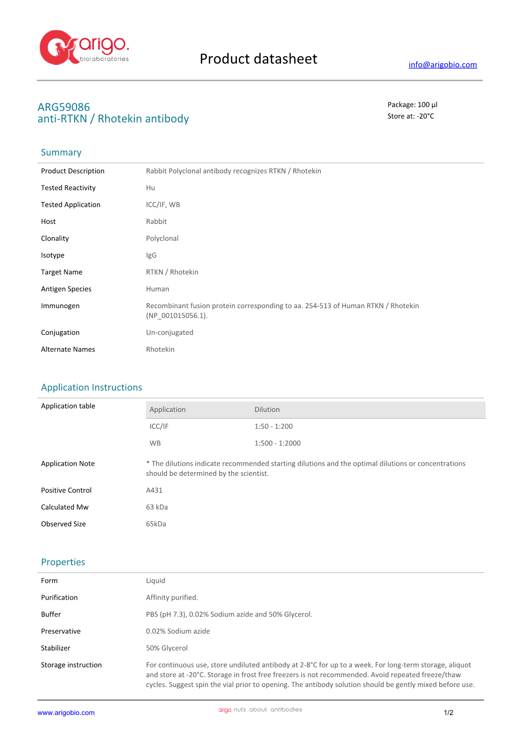 Anti-RTKN / Rhotekin Antibody (ARG59086)