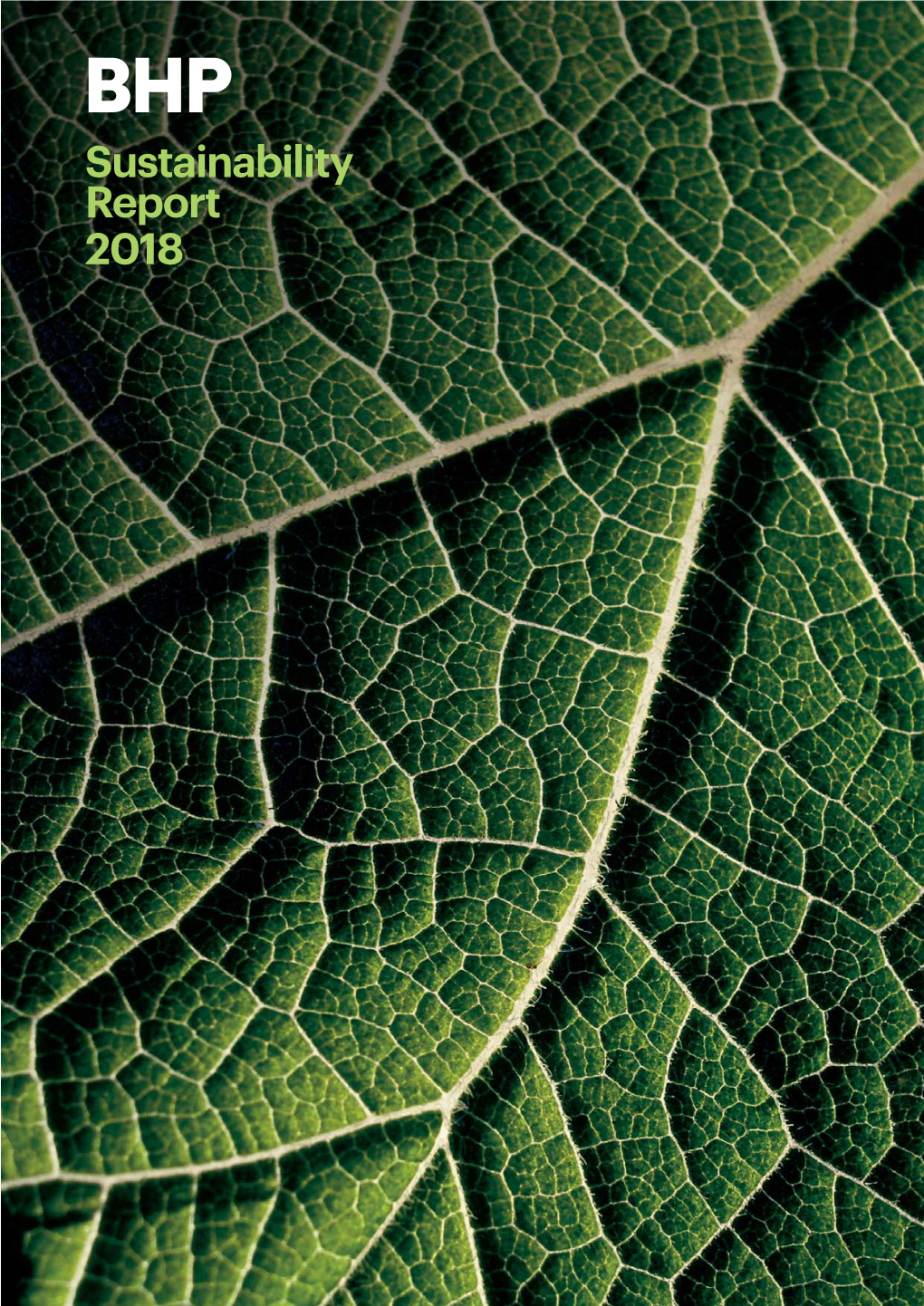8411 BHPB Sustainability Report 2018.Indd