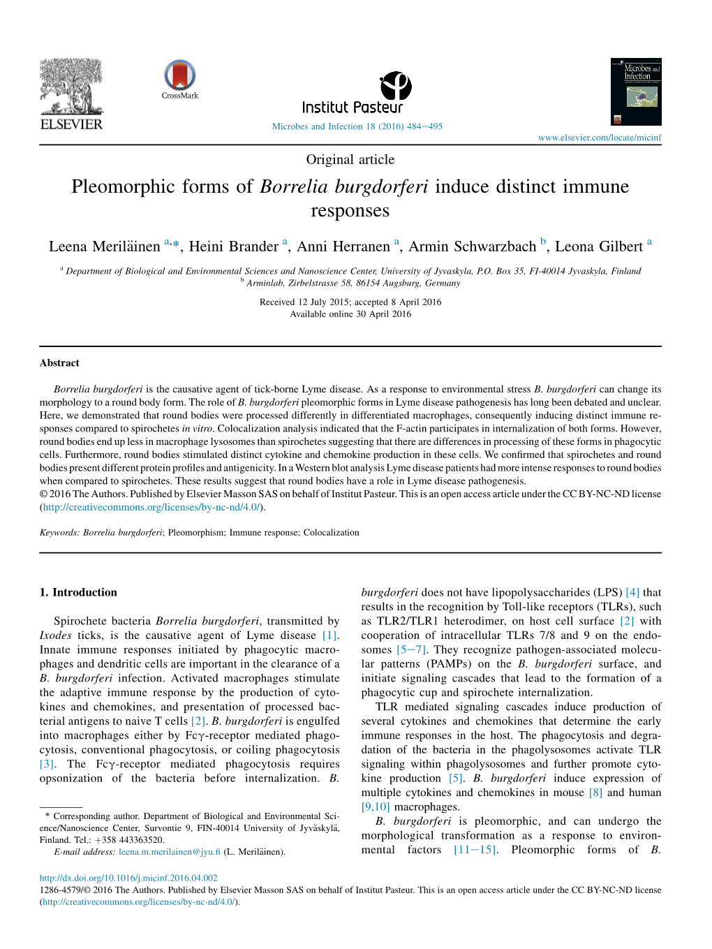 Pleomorphic Forms of Borrelia Burgdorferi Induce Distinct Immune Responses