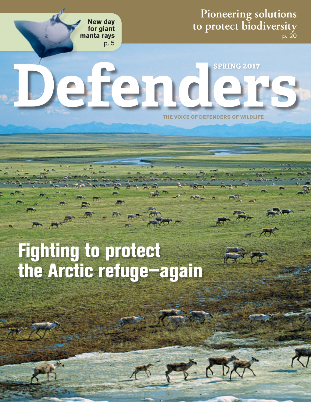 Fighting to Protect the Arctic Refuge—Again [ Cover Exclusive ]