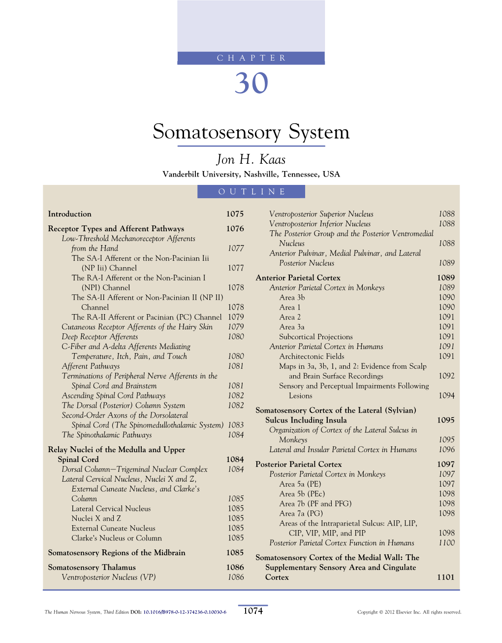 Chapter 30 – Somatosensory System