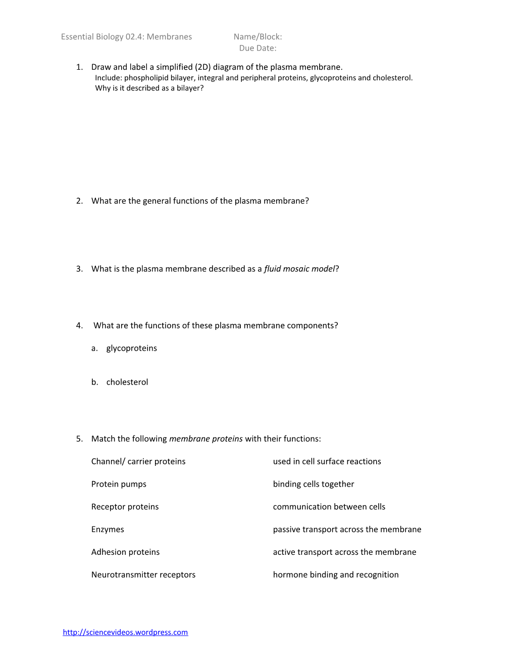 Essential Biology 02.4: Membranes Name/Block