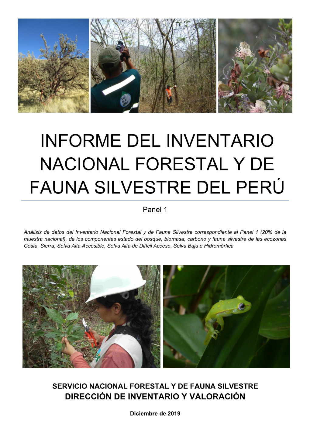 Informe Del Inventario Nacional Forestal Y De Fauna Silvestre Panel 1