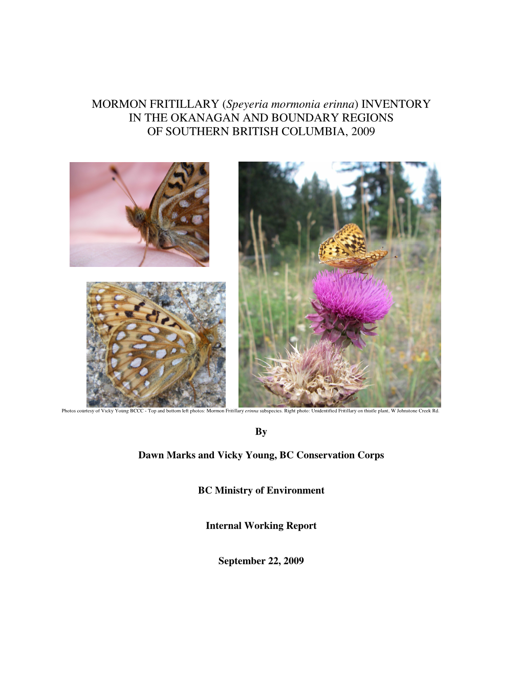 MORMON FRITILLARY (Speyeria Mormonia Erinna) INVENTORY in the OKANAGAN and BOUNDARY REGIONS of SOUTHERN BRITISH COLUMBIA, 2009