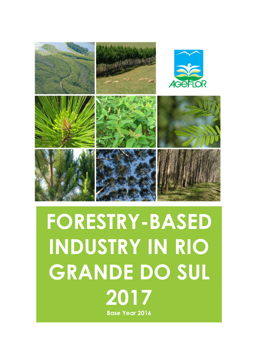 FORESTRY-BASED INDUSTRY in RIO GRANDE DO SUL 2017 Base Year 2016