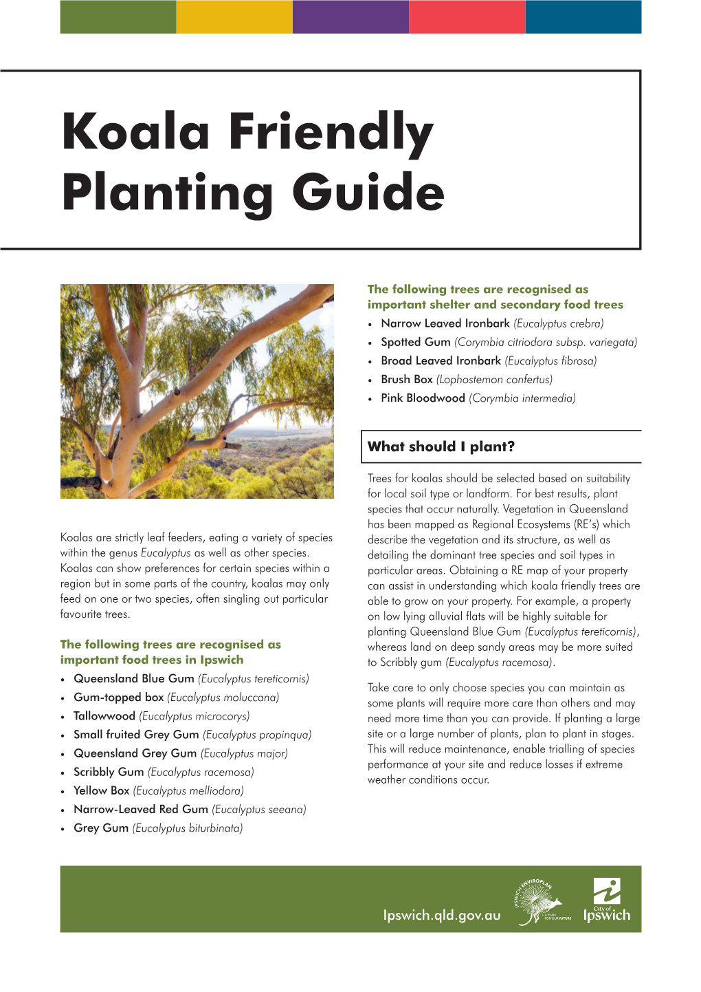 Koala Friendly Planting Guide