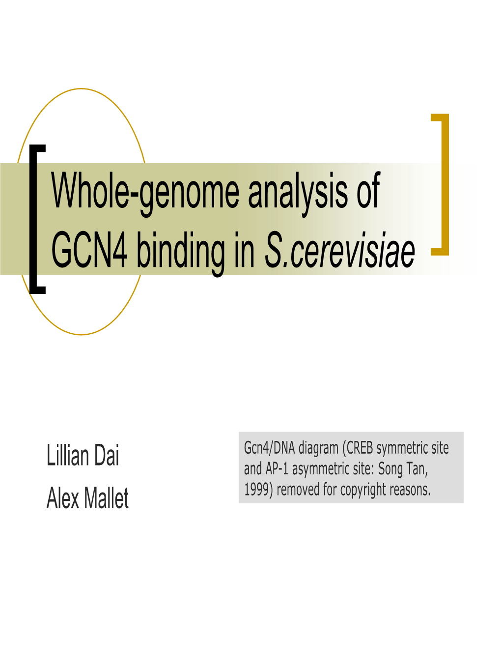 GCN4 Motif Discovery