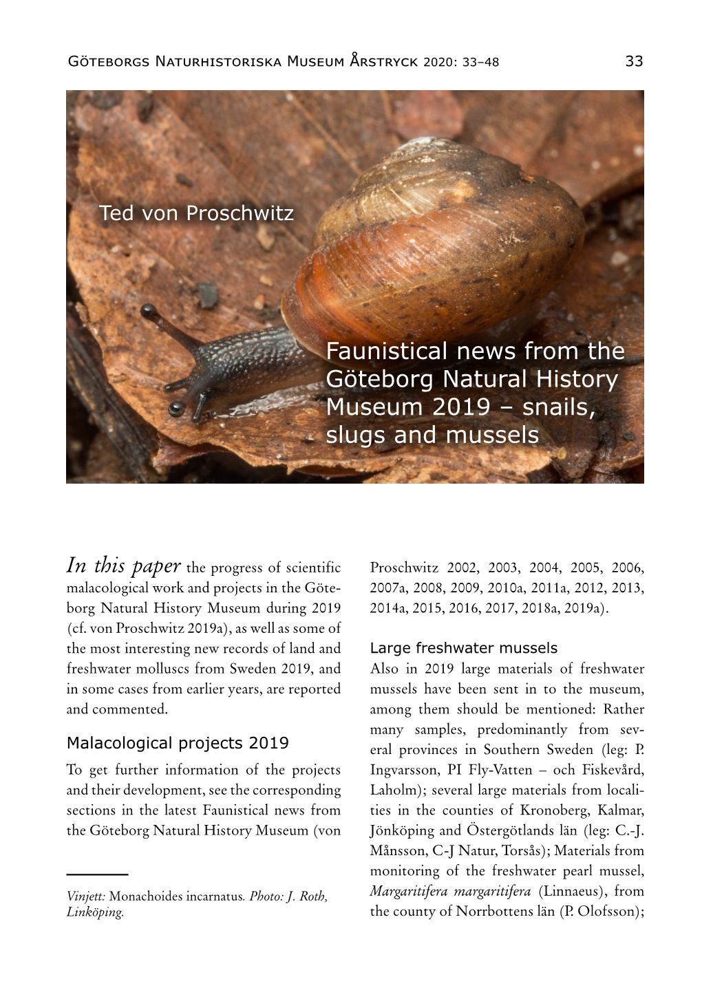 Faunistical News from the Göteborg Natural History Museum 2019 – Snails, Slugs and Mussels