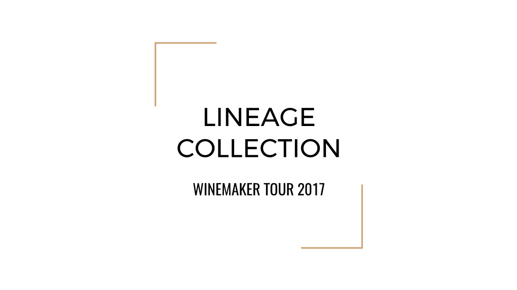 Lineage Collection