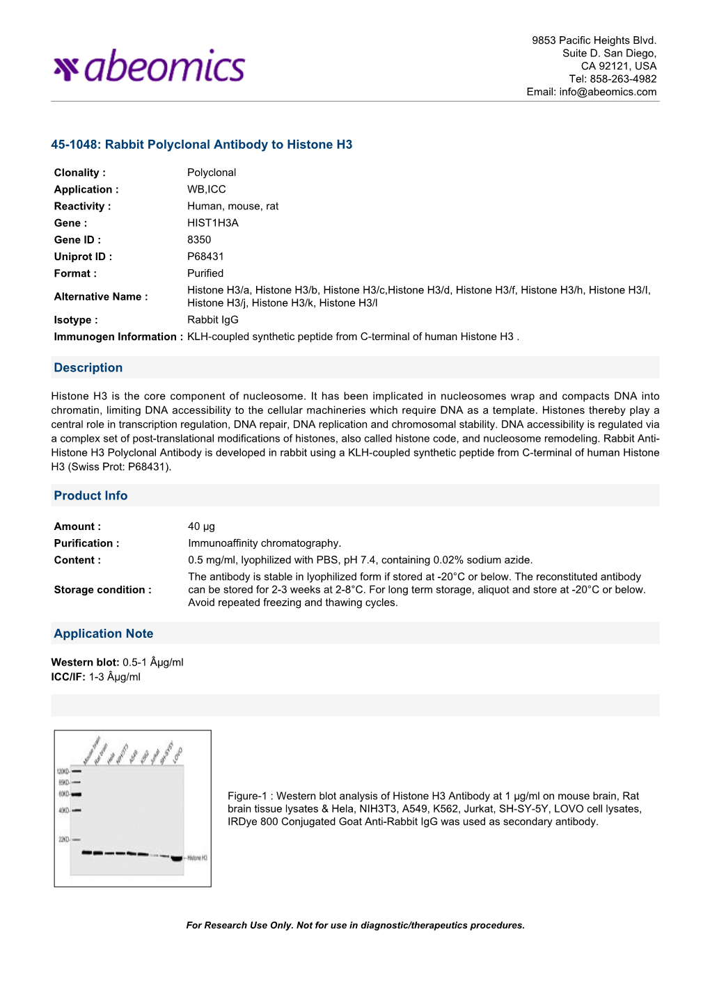 45-1048: Rabbit Polyclonal Antibody to Histone H3