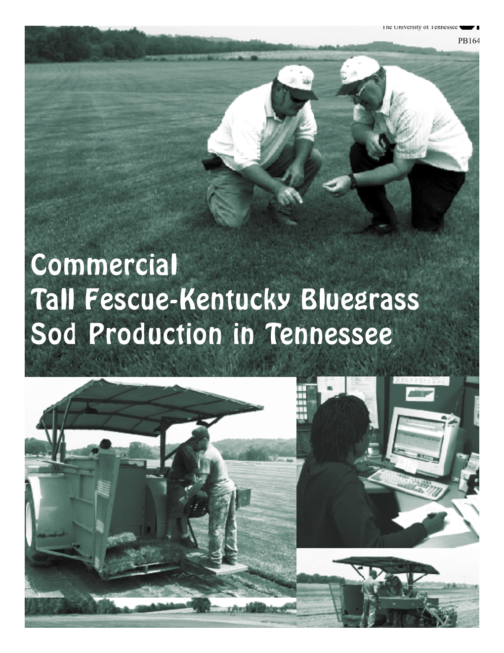 Commercial Tall Fescue-Kentucky Bluegrass Sod Production in Tennessee