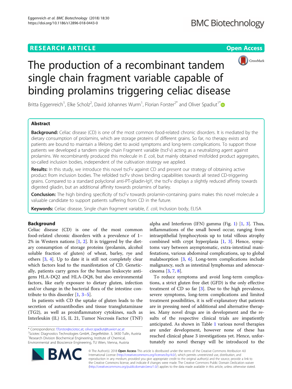 The Production of a Recombinant Tandem Single Chain Fragment