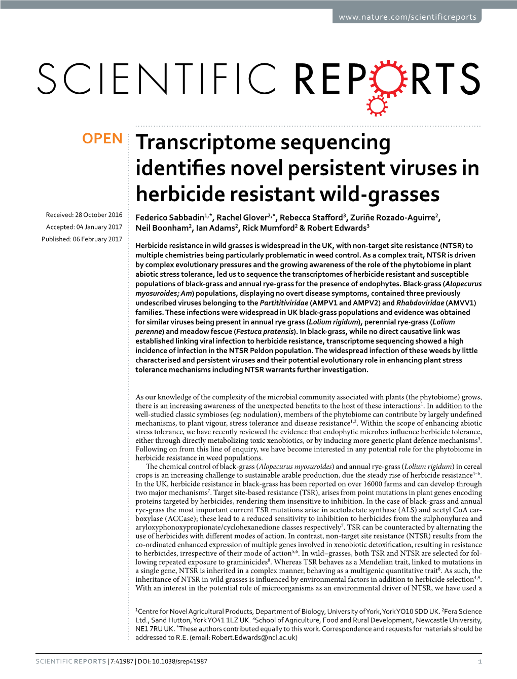 Transcriptome Sequencing Identifies Novel Persistent Viruses in Herbicide