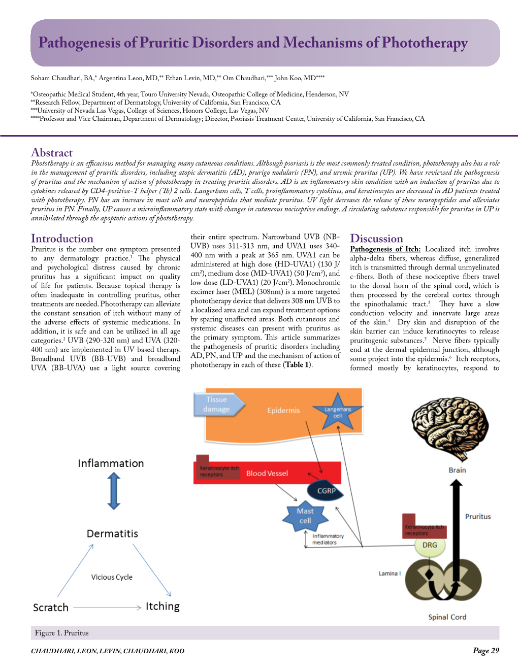 Pathogenesis of Pruritic Disorders and Mechanisms of Phototherapy