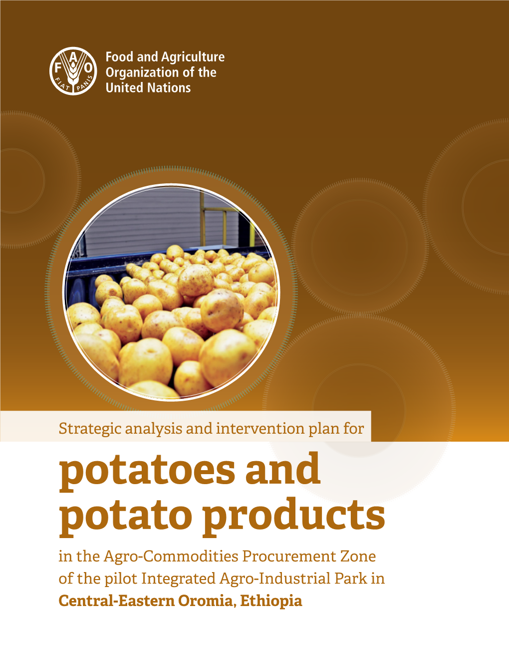 Potatoes and Potato Products in the Agro-Commodities Procurement Zone of the Pilot Integrated Agro-Industrial Park in Central-Eastern Oromia, Ethiopia