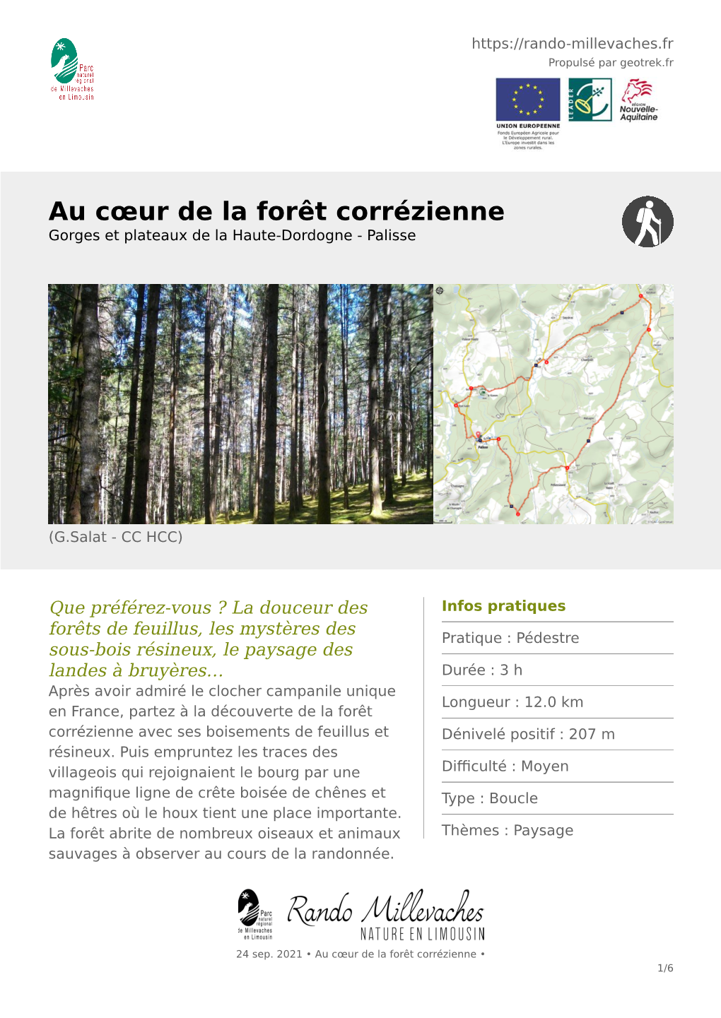 Au Cœur De La Forêt Corrézienne Gorges Et Plateaux De La Haute-Dordogne - Palisse