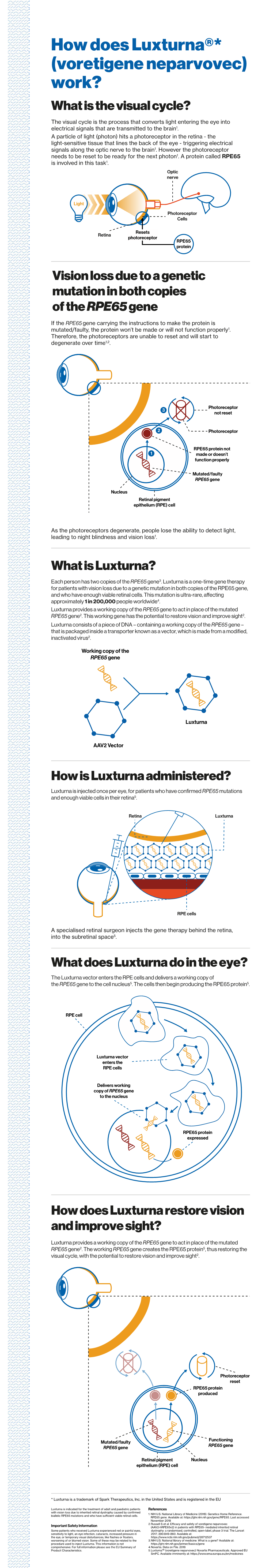 How Does Luxturna®* (Voretigene Neparvovec) Work? What Is the Visual Cycle?