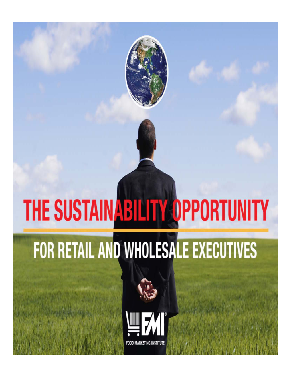 FMI Research on Retailers Overall Sustainability Strategy • 41.3% Have Corporate Sustainability Programs • 14.7% More Plan to Implement in 2008