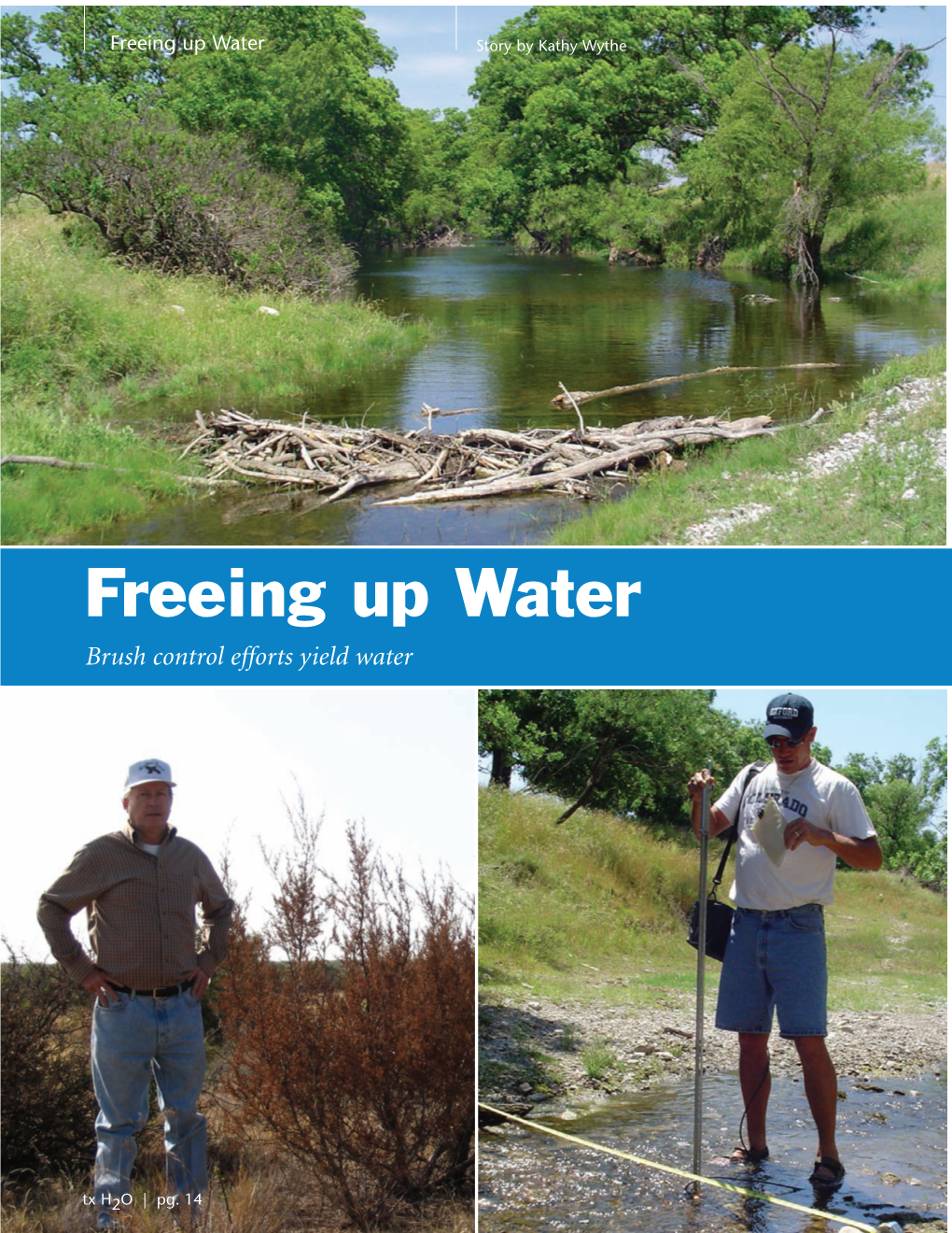 Freeing up Water.Pdf (967.0Kb)