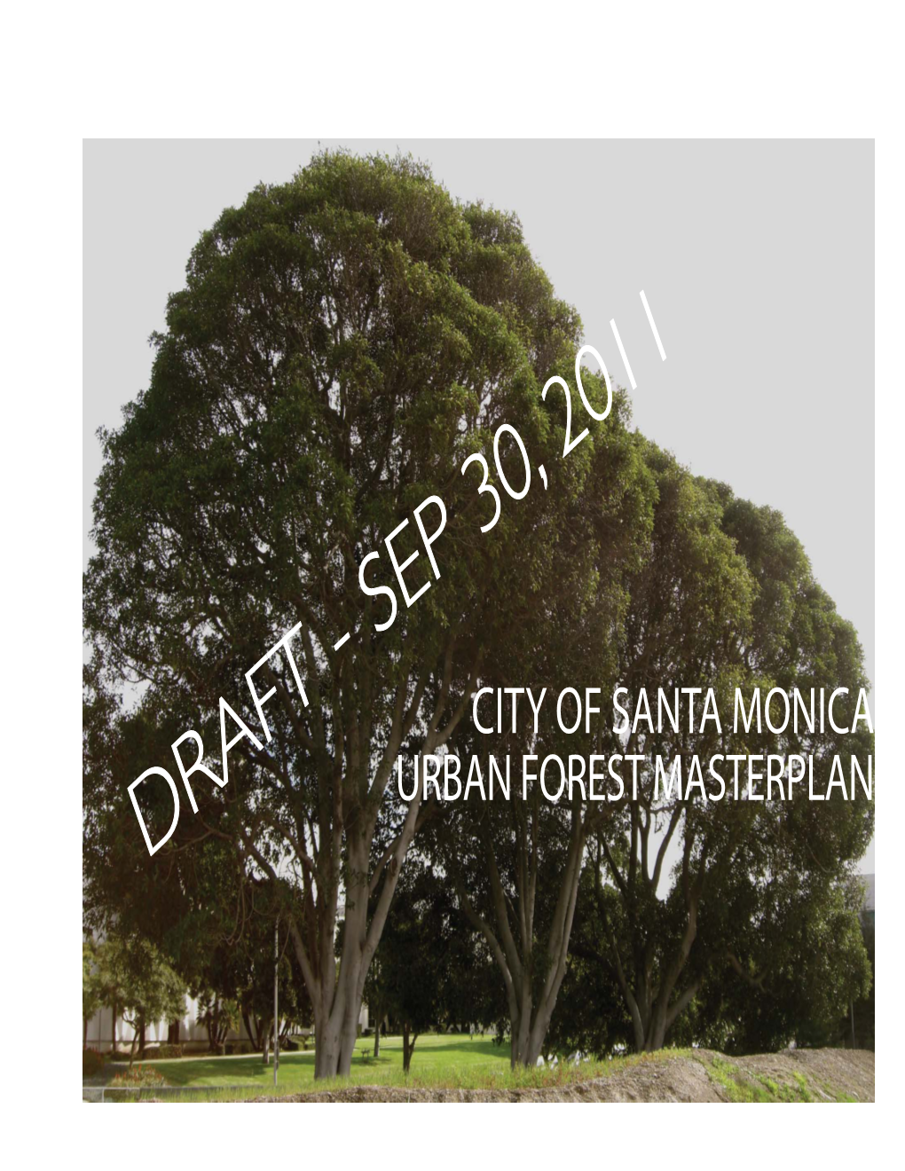 Draft Urban Forest Master Plan