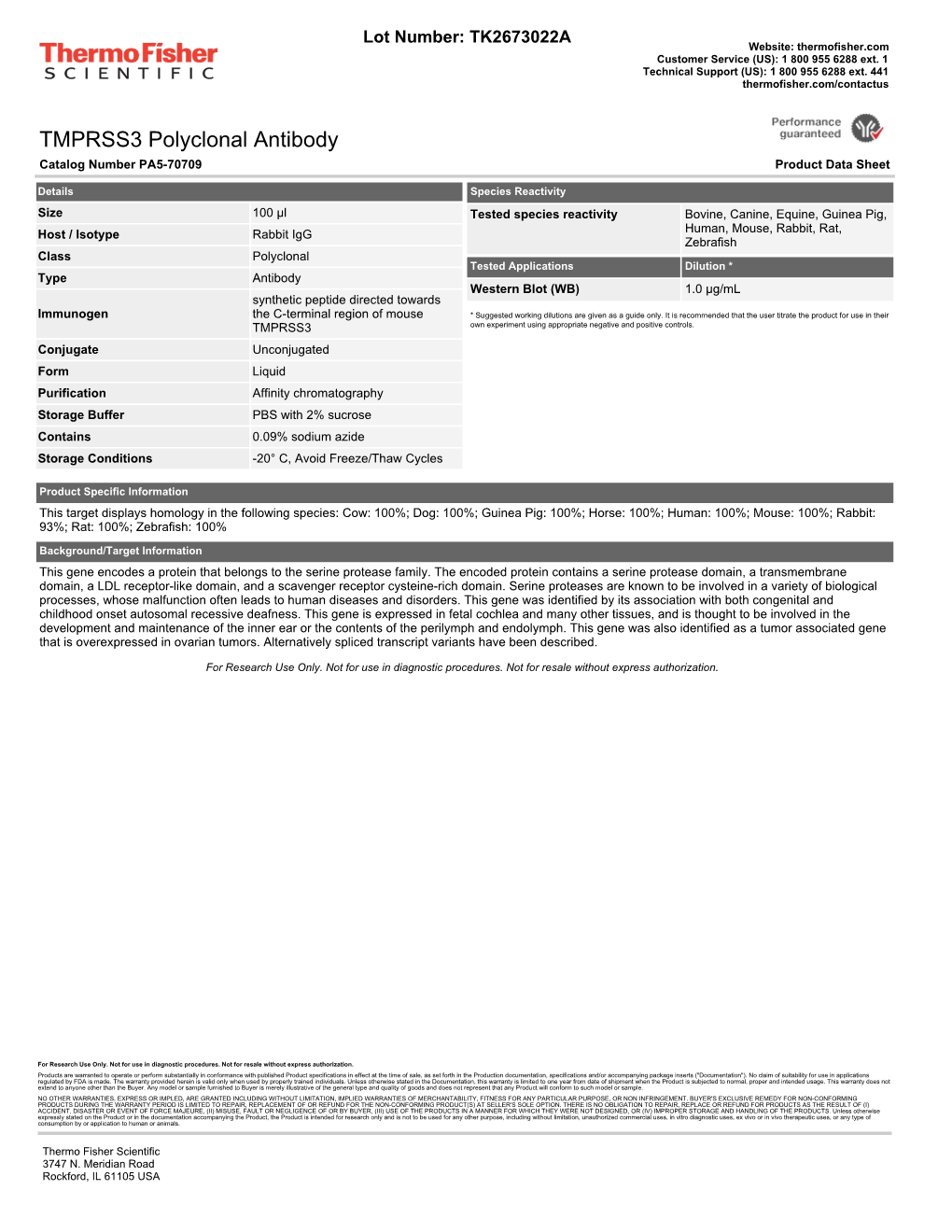 TMPRSS3 Polyclonal Antibody Catalog Number PA5-70709 Product Data Sheet
